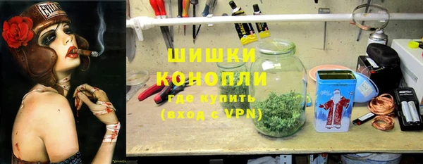 стафф Елизово
