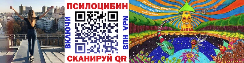 Галлюциногенные грибы Magic Shrooms  Купить закладки  Енисейск 